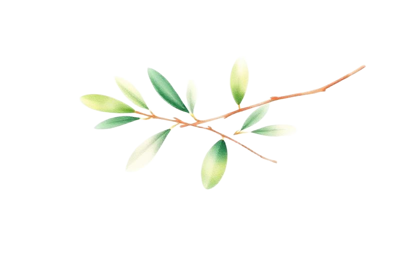 Watercolor olive branch